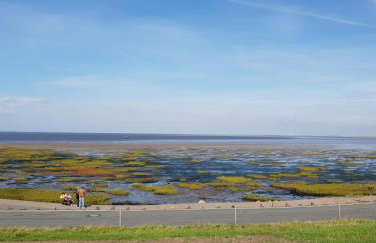 Deichhus Nordseeliebe direkt am Deich - Nordsee - Dagebüll - Am Vogelreservat - Foto 123
