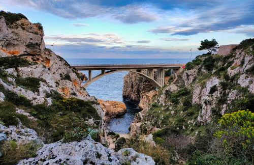 Lu Purpu di Casa Camilla Journey - Foto 53