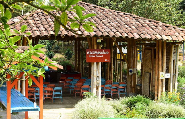 Excursão à Finca Recuca - Photo 5