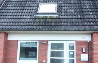 Haushälfte Stranddiestel - Foto 39