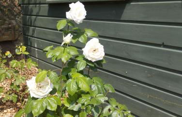 Gîte Au Bord de la Baie de Somme - Foto 26