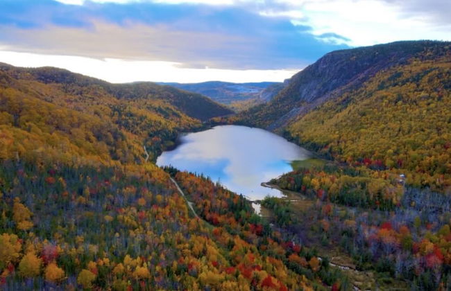 Bonne Bay Cottages - Photo 43