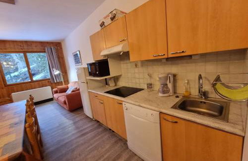 Appartement spacieux pour 10 pers, à 100m des pistes, Wifi gratuit, animaux admis - Saint-Michel-de-Chaillol - FR-1-393-42 - Foto 6