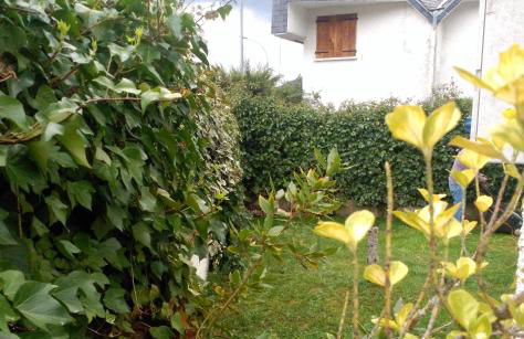 Los Valles 4 - Photo 3