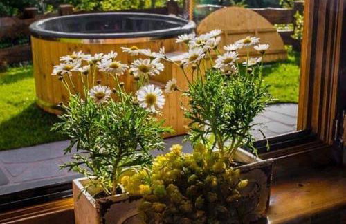 Przystanek Beskidy - Foto 37