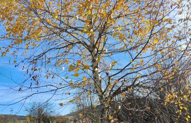 Sielanka, wyjątkowy dom, jacuzzi - Foto 62