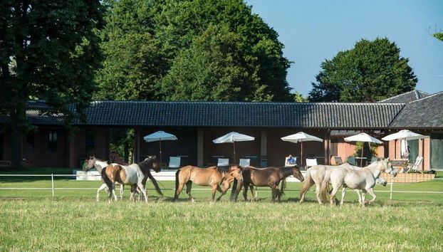 Agriturismo Relais Tenuta Il Cigno - Photo 2
