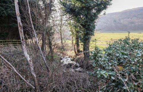 Bizzie Lizzie - Photo 57