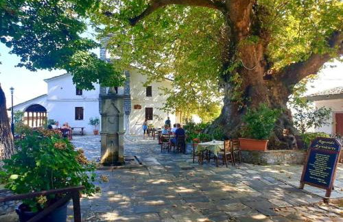 Alexias Home - Foto 56