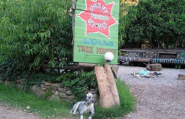 Sheriff Olimpos - Photo 25