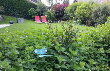 Apartment Regina - Photo 9