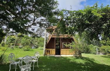 Chalé Kaa Puã Vista e Aconchego na Rota do Vinho - Foto 27