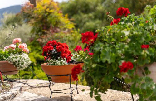 Villa Elia Kavala - Mediterranean Holiday Villa - Foto 32