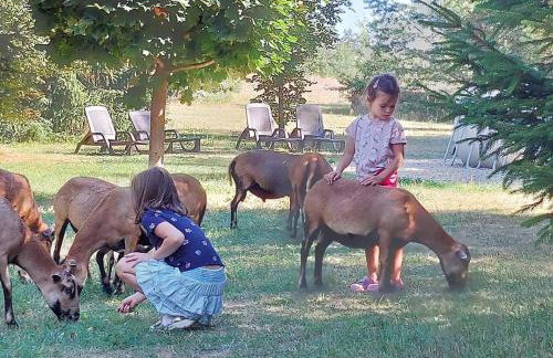 Tamarynowa Osada - Kraina Udanego Wypoczynku - Foto 35