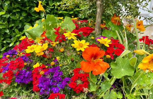 Le Mas des Pins - Foto 22