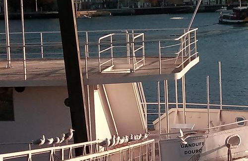 Oporto Central Flat - Foto 26