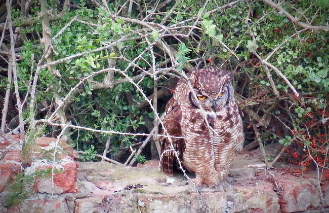 River Front Estate - Photo 31