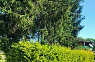 Villetta Tora - Photo 37