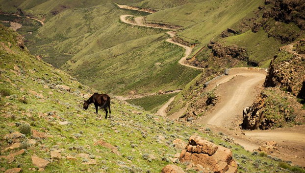 Full Day Durban Private Chauffeur Services - Photo 3