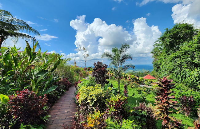 Cabañas Caeli Rainforest Glass Cabin El Congo La Fortuna - Foto 43