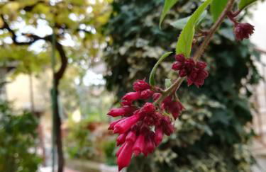 In vacanza a Itri - Casa Ileana - Foto 24