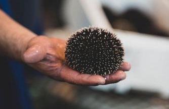 Donna Sofia House - Foto 37