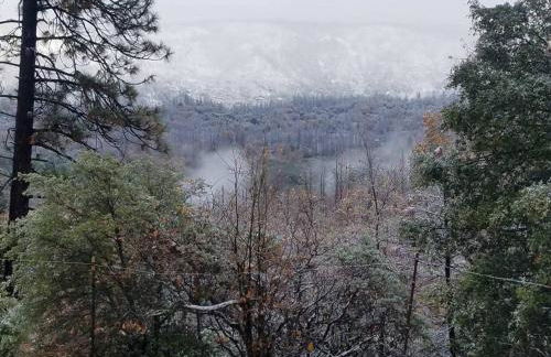 Uncle Grizz's Cabin...get intouch with nature - Foto 27