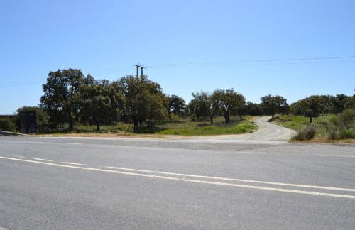 Fazenda do Medronhal - Photo 11