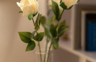 Battisti Flat, near station - Foto 11