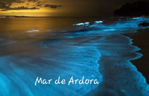 Acogedora Vivienda de 2 Habitaciones y Terraza - Foto 46