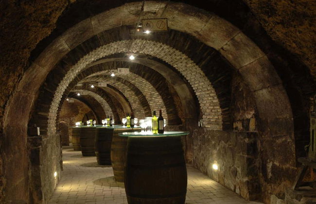 Excursión a Laguardia y Haro con visita a dos bodegas - Foto 5