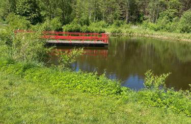 Agroturystyka Podlasie - Foto 14