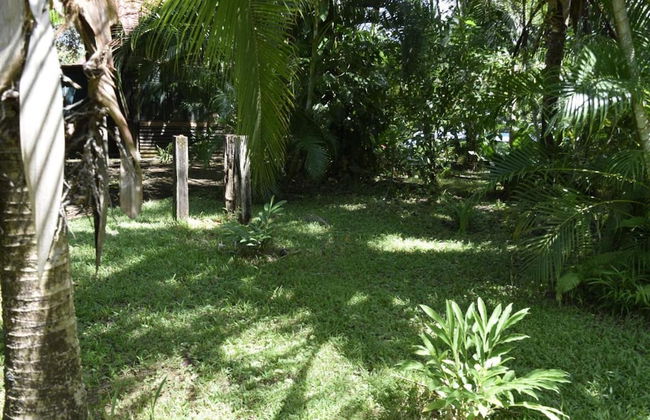 Villas María Luisa Lodge - Photo 34