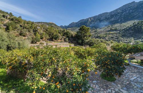 Se Taulera - Foto 19