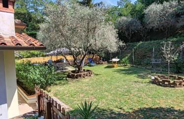 Oasi degli ulivi con piscina privata tra Versilia e Cinque Terre - Foto 29