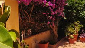 Bouganville - Foto 3