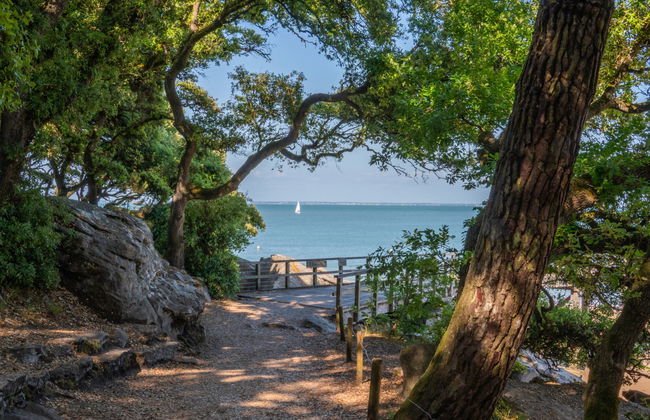 Odalys Collection Le Domaine des Pins - Foto 22