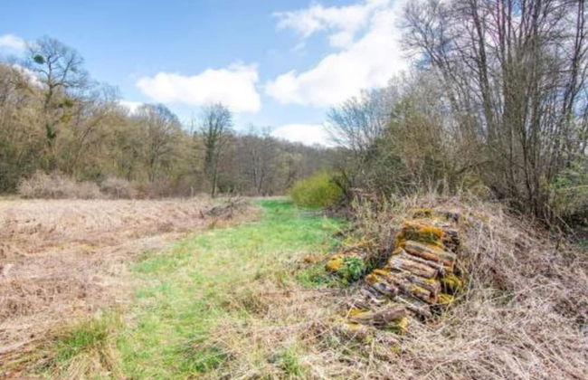 Nature Chalet in Somme-leuze - Foto 33