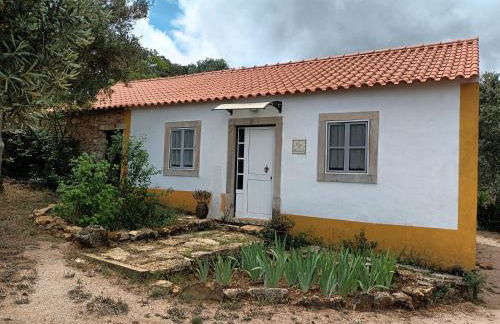 Casa dos Terranhos - Foto 11