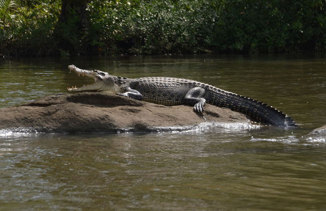 Angel Villa - Exotic Holidays in Private Villa Near Beach - Foto 8