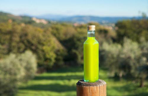 Poggio Diavolino - Suvereto - Foto 14