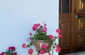 Casa Vicente - Foto 13