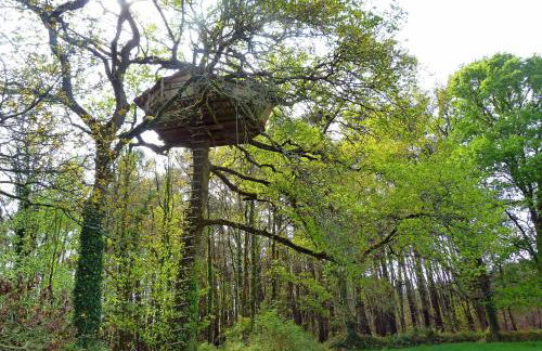 Dihan Evasion - Foto 27