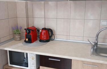 Miranda Studios - Foto 43