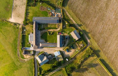 Sennen Cove, The Hedgerows, near 14 beaches, - Photo 21