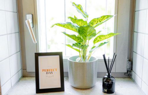 Come4Stay Innstadtgarten Domblick - Foto 20