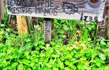 ALBAREÍLLA by #cherrygredos - Photo 21