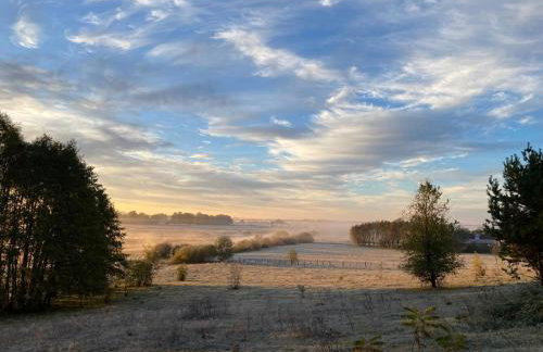 Biebrzaski - dom nad Biebrzą - Foto 32