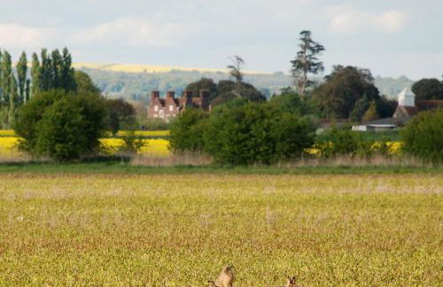 Barnham Court Farm - Photo 17