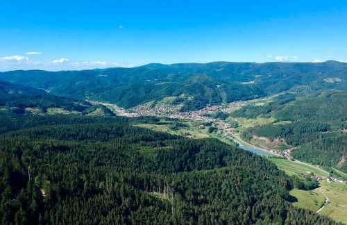 Ferienwohnungen Beilerstädtle - Foto 14